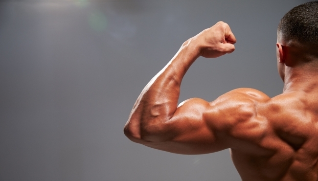 Workout Pomeridiano | 10 Mesi di Sala Pesi